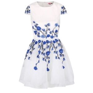 Chi Chi London Floral Embroidered Cap Sleeve
Dress NWT Sz 4